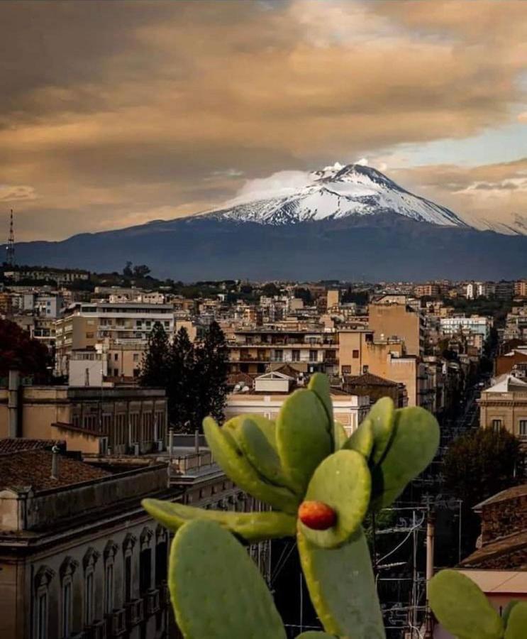 Catania Apartment Borgo Suite Autonomous Exteriér fotografie